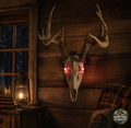 EuroGlow Mount Lights 4 Pack