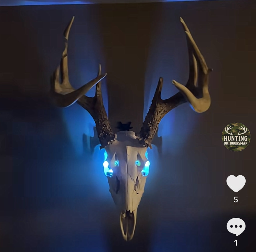 EuroGlow Mount Lights 2 Pack